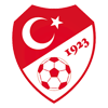 土耳其比利昂纳杯